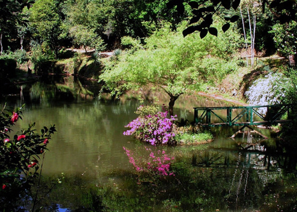 Fundação Mata do Bussaco